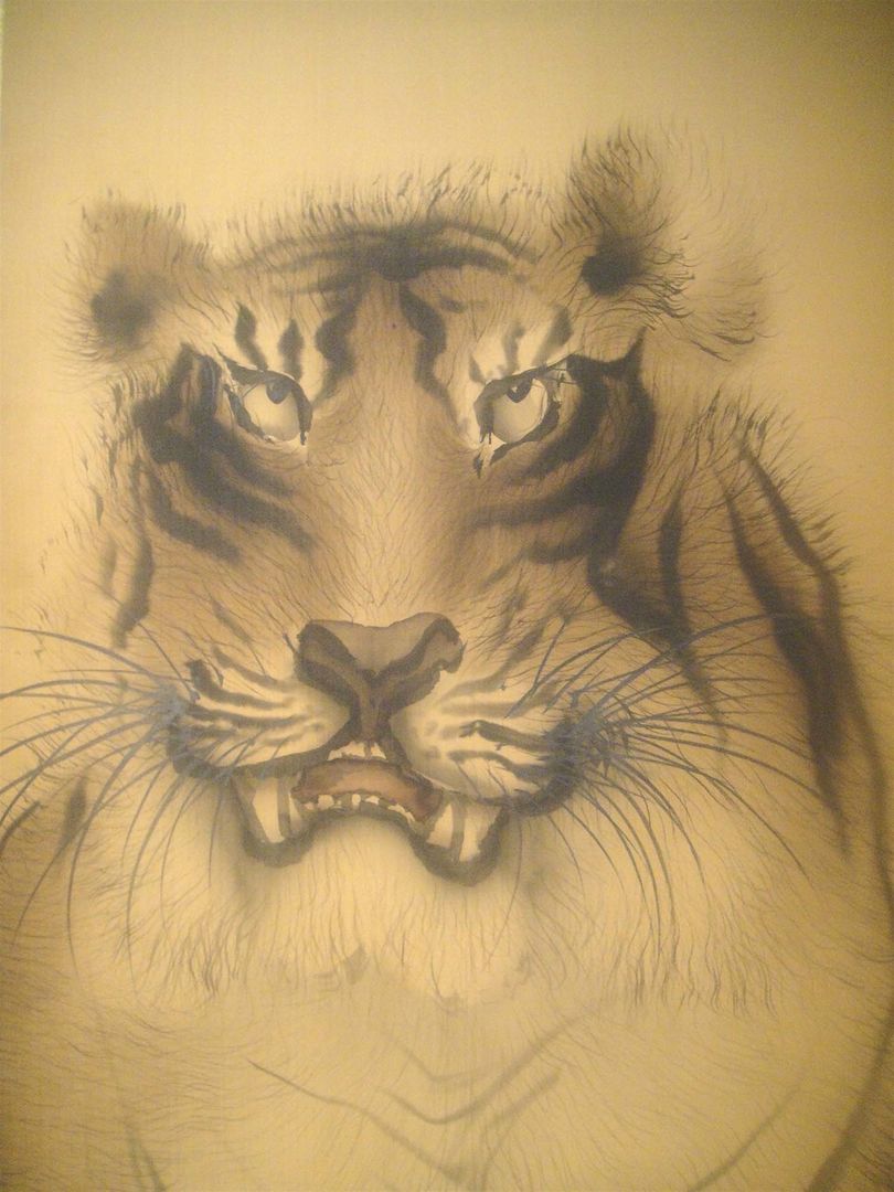 Head of Tiger