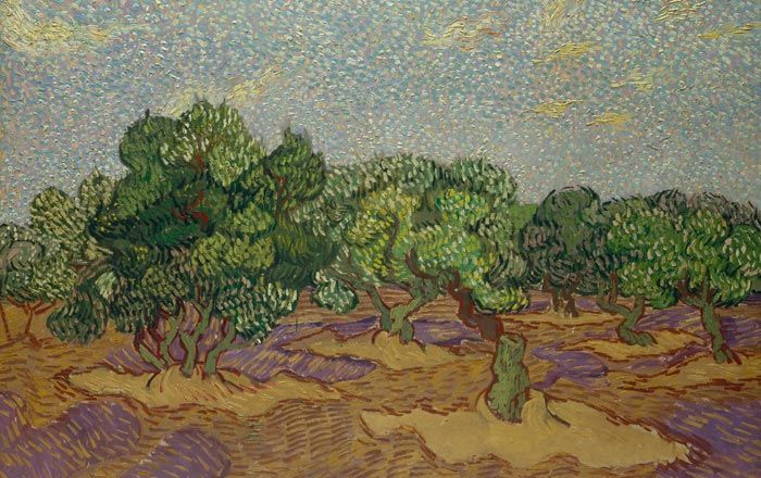 Detail view of Vincent van Gogh's Olive Trees