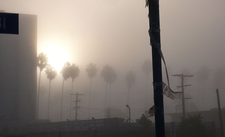 A warm and diffuse sun silhouettes a row of tall palm-like trees and telephone poles through a thick grey fog or smog in what looks like an urban setting.