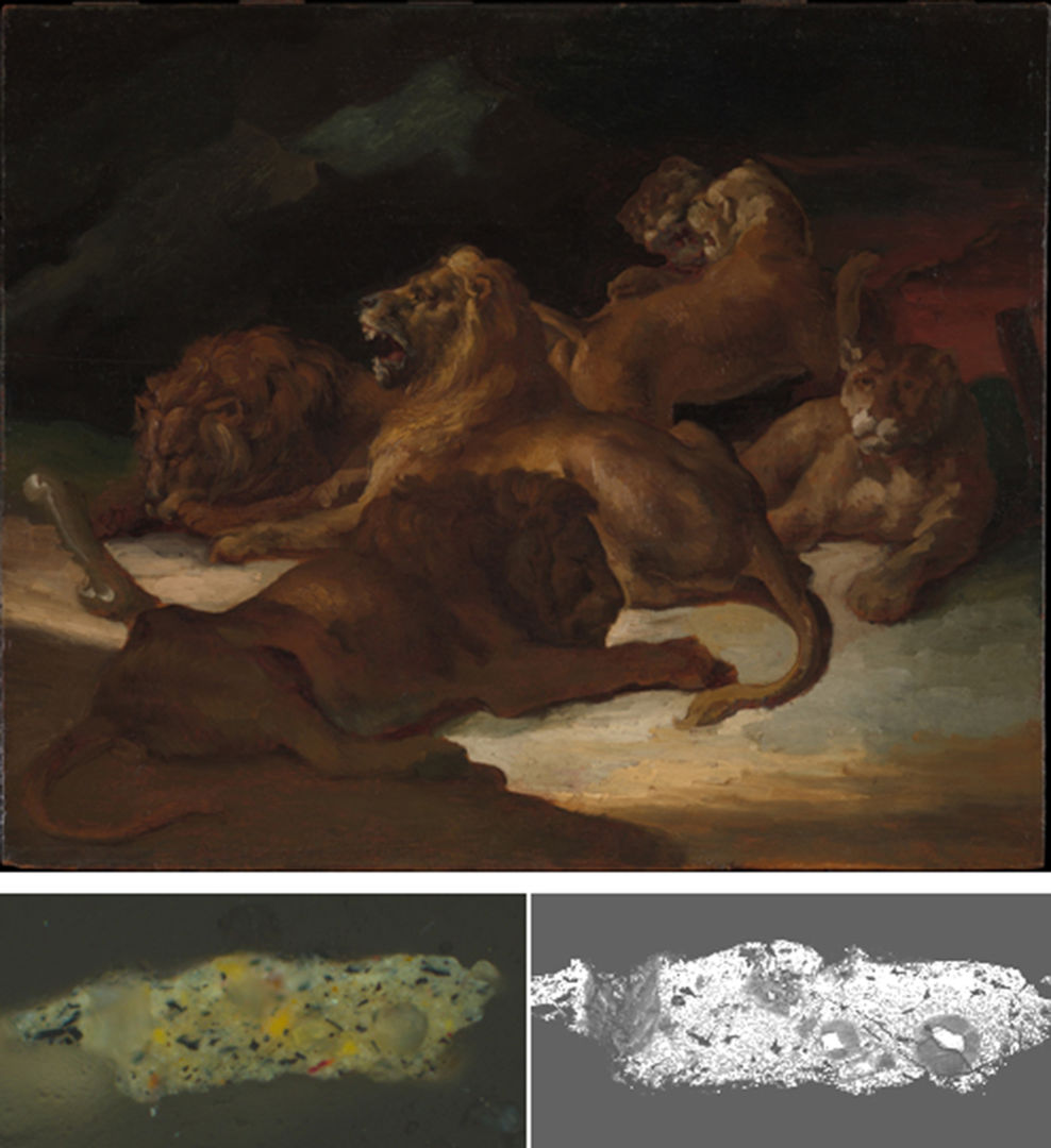  Théodore Gericault, Lions in a Mountainous Landscape, ca. 1818-20. The bottom left is a photomicrograph taken with visible illumination of a cross-section removed from the right edge of the painting, where soaps appear as round, almost transparent inclusions in the paint film. The bottom right is an image of the same sample acquired with a scanning electron microscope (SEM), where the presence of soaps can be visualized through compositional contrast with the "healthy" paint. The dissolution of lead-containing pigments can be recognized in this SEM image by gray areas around brighter white particles that are unreacted lead white pigment.