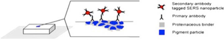 Illustration of the Immuno-SERS experiment.