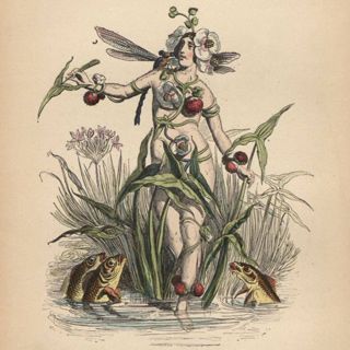 Illustration of a nude woman wrapped in flowers, fruit, and grasses, surrounded by fish and a dragonfly