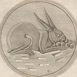 simple illustration of a hare