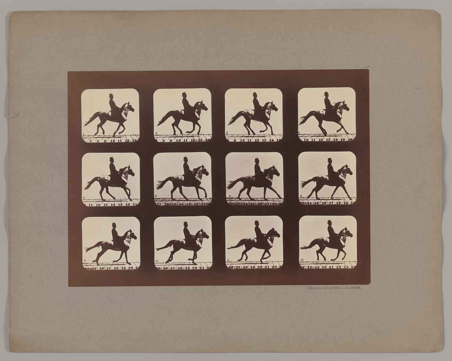 A man seated on a horse is in each frame of a four by three grid.