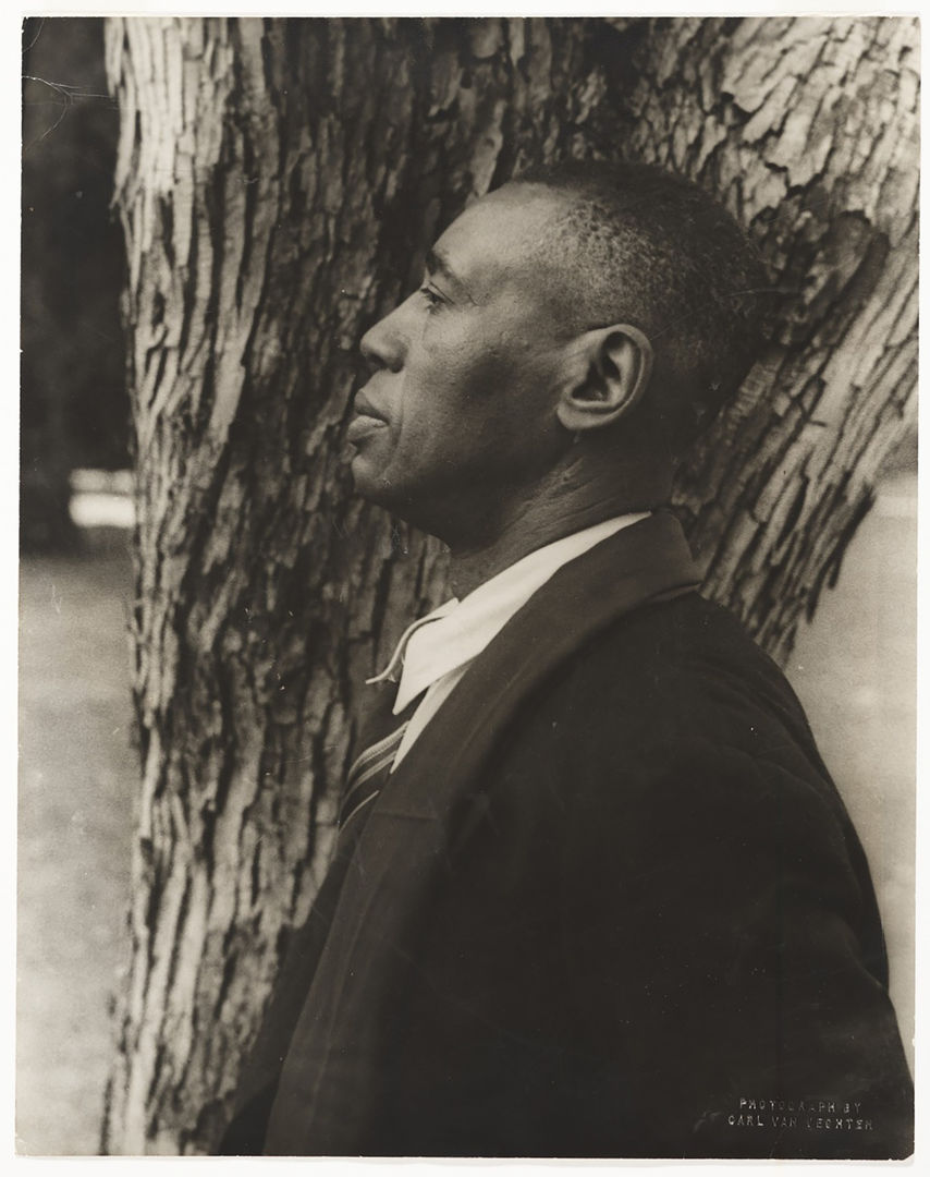 Profile portrait of the African American Artist Horace Pippin Photographed by Carl Van Vechten. The image shows a sepia tinted photograph of a black man in profile with a shaved head looking outwards. He is wearing a suit and tie, and behind him is a tree trunk with textured bark. 