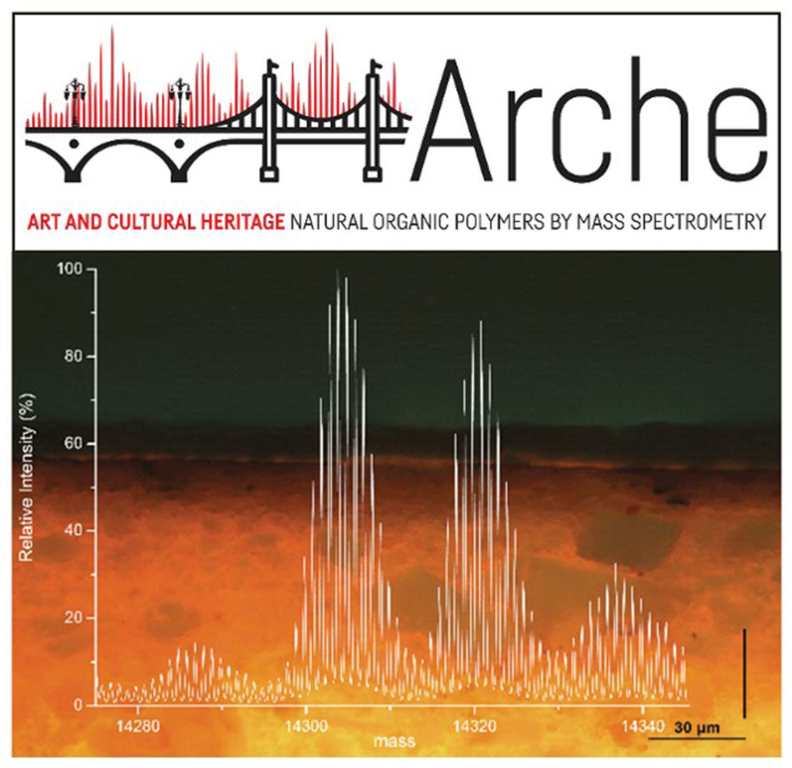 A composite image of the Arche collaboration logo depicting a series of linked arch bridges atop an image of an x and y graph measuring relative intensity over mass.