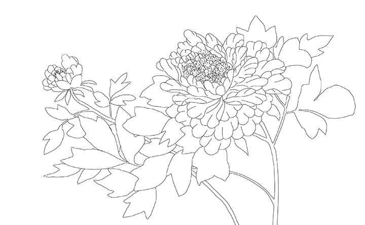 Line drawing of flowers inspired by a Japanese print.