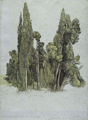 Cypresses at the Villa d'Este
