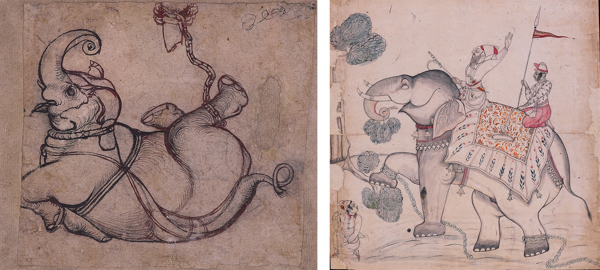 drawing of an elephant rolling in the dust on the left and drawing of an elephant with a rider on the right