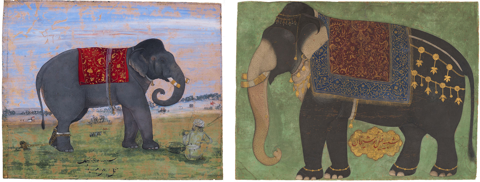 painting of an elephant in a field on the left and painting of an elephant against a green background on the right