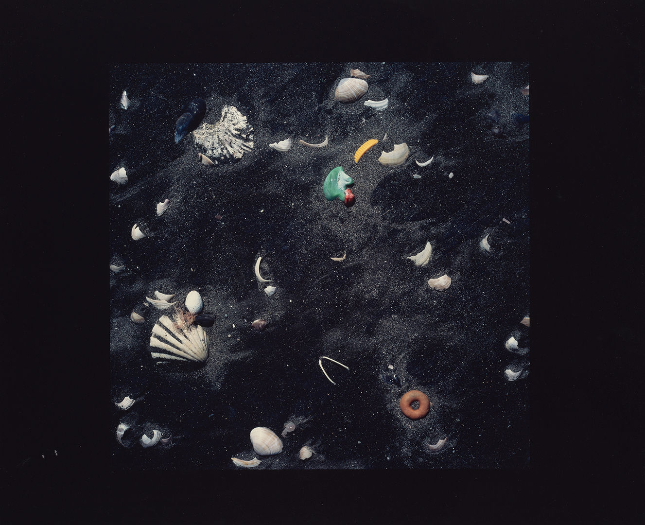 Close up image of ocean debris, including shells, rocks, bones, and plastics, against glittering black sand. The image is framed with a wide black border. 