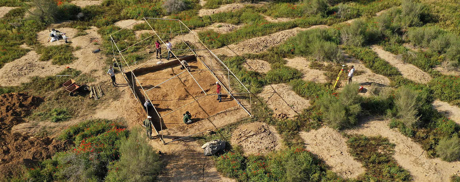 Aerial image of a partially excavated site framed with tent poles. Several people are at work within the excavation area and surroundings. The environment has shrubs and flower bushes broken up by patches of dirt.