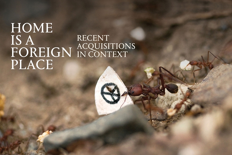 Close-up photograph of an ant carrying a piece of paper with a peace sign on it.