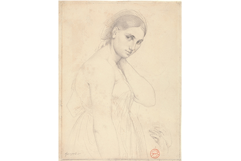 Leonardo to Matisse: Master Drawings from the Robert Lehman Collection